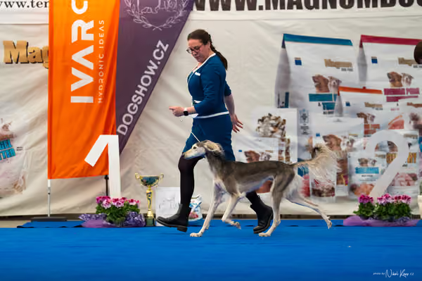 For Pets Cup – DOSPĚLÝ