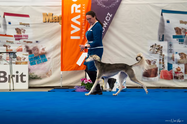 For Pets Cup – DOSPĚLÝ