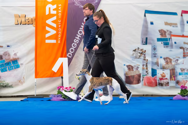 For Pets Cup – DOSPĚLÝ