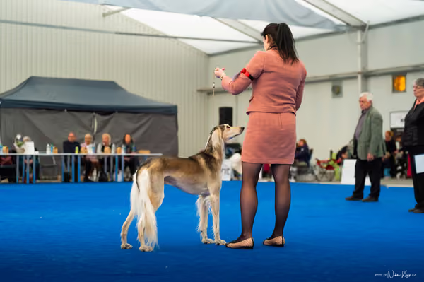 For Pets Cup – DOSPĚLÝ