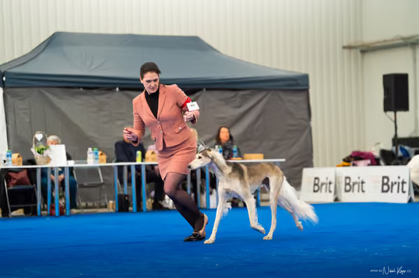For Pets Cup – DOSPĚLÝ