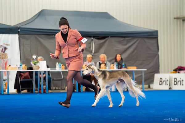 For Pets Cup – DOSPĚLÝ