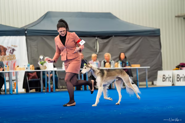 For Pets Cup – DOSPĚLÝ