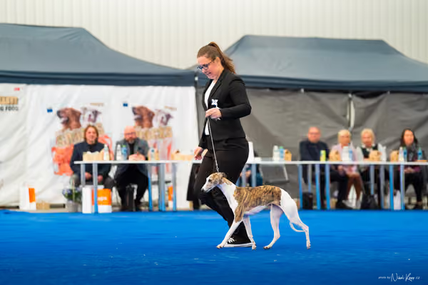 For Pets Cup – DOSPĚLÝ