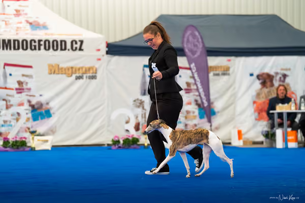 For Pets Cup – DOSPĚLÝ