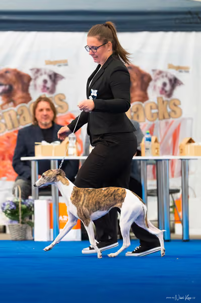 For Pets Cup – DOSPĚLÝ