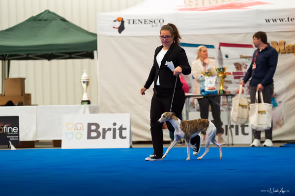 For Pets Cup – DOSPĚLÝ