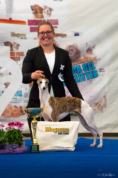 For Pets Cup – DOSPĚLÝ