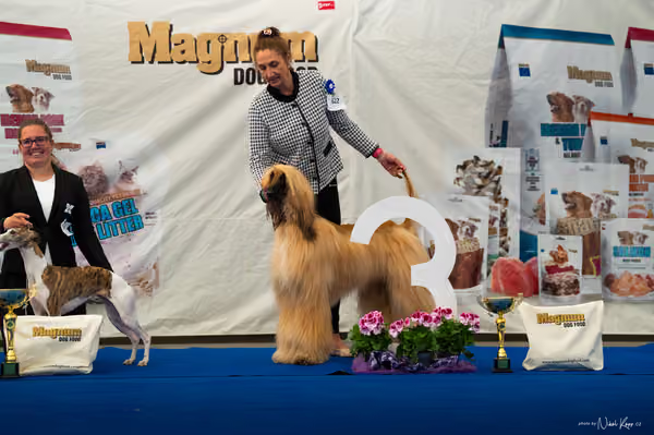 For Pets Cup – DOSPĚLÝ