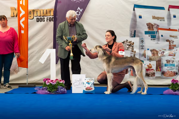 For Pets Cup – DOSPĚLÝ