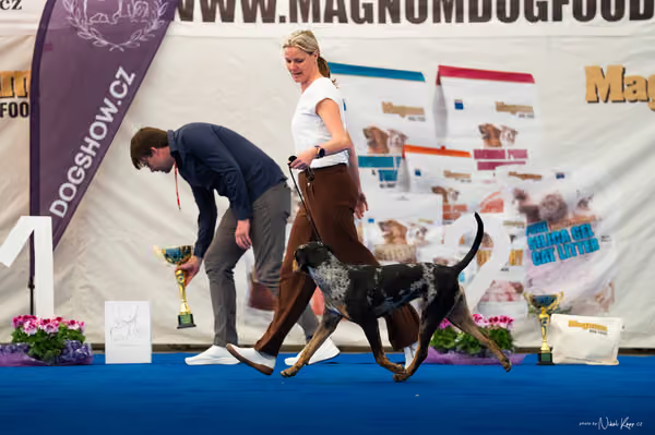 For Pets Cup – DOSPĚLÝ