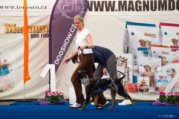 For Pets Cup – DOSPĚLÝ