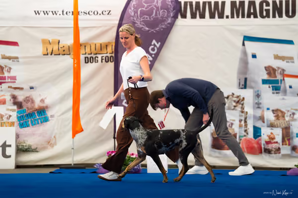 For Pets Cup – DOSPĚLÝ