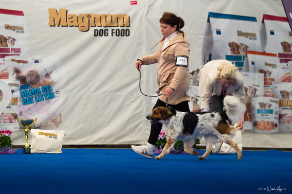 For Pets Cup – DOSPĚLÝ