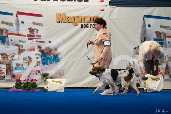 For Pets Cup – DOSPĚLÝ