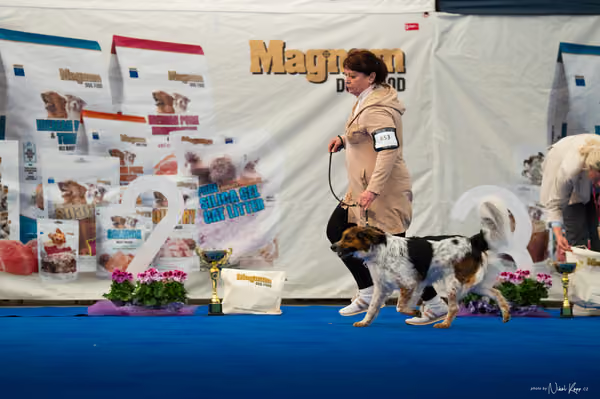 For Pets Cup – DOSPĚLÝ