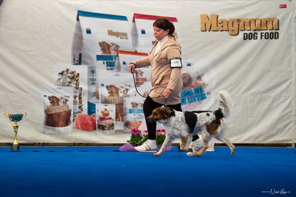 For Pets Cup – DOSPĚLÝ