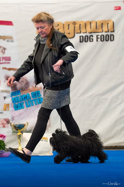 For Pets Cup – DOSPĚLÝ