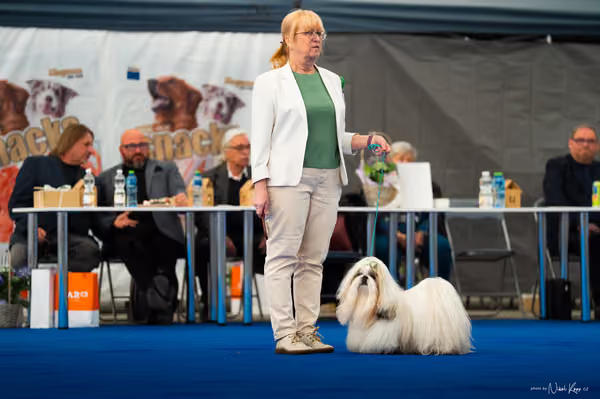 For Pets Cup – DOSPĚLÝ
