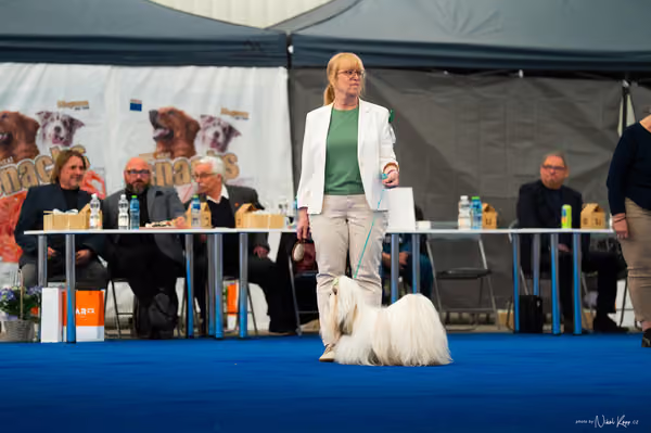 For Pets Cup – DOSPĚLÝ