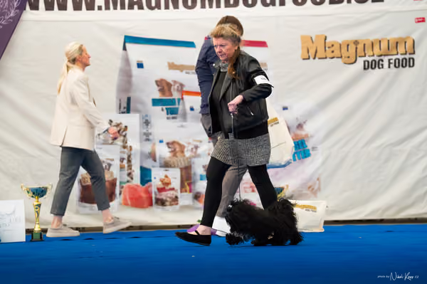 For Pets Cup – DOSPĚLÝ