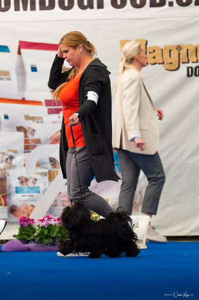For Pets Cup – DOSPĚLÝ