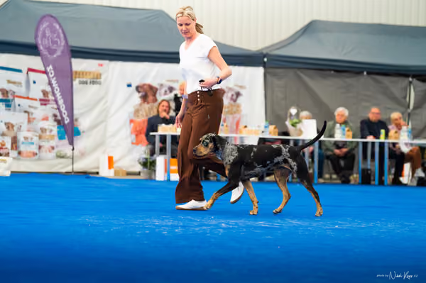 For Pets Cup – DOSPĚLÝ