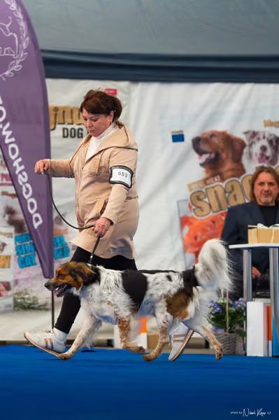 For Pets Cup – DOSPĚLÝ