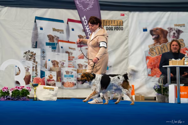 For Pets Cup – DOSPĚLÝ