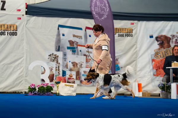 For Pets Cup – DOSPĚLÝ