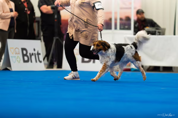 For Pets Cup – DOSPĚLÝ