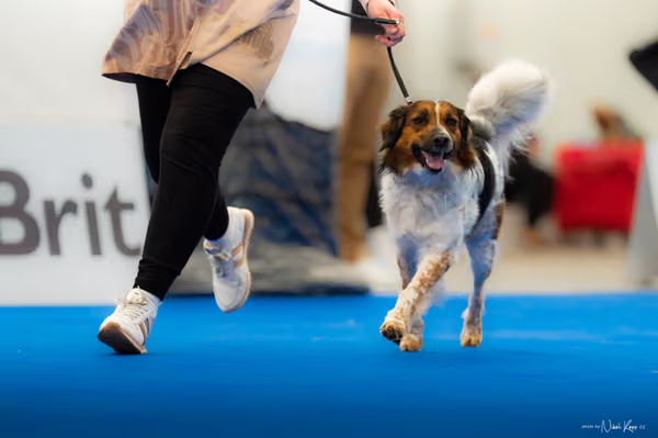 For Pets Cup – DOSPĚLÝ