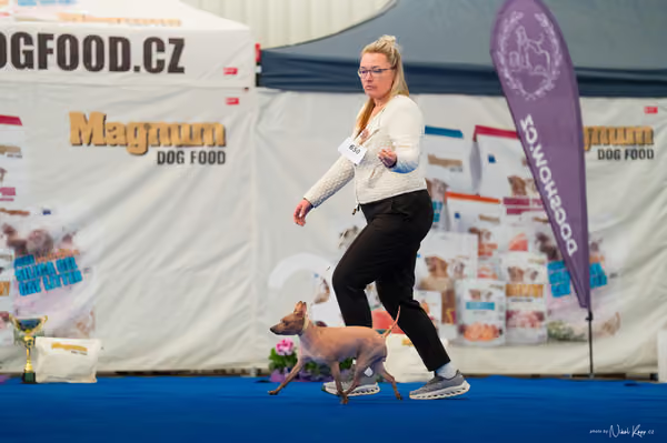 For Pets Cup – DOSPĚLÝ