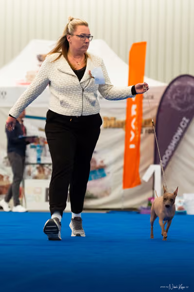 For Pets Cup – DOSPĚLÝ