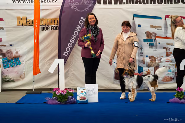 For Pets Cup – DOSPĚLÝ