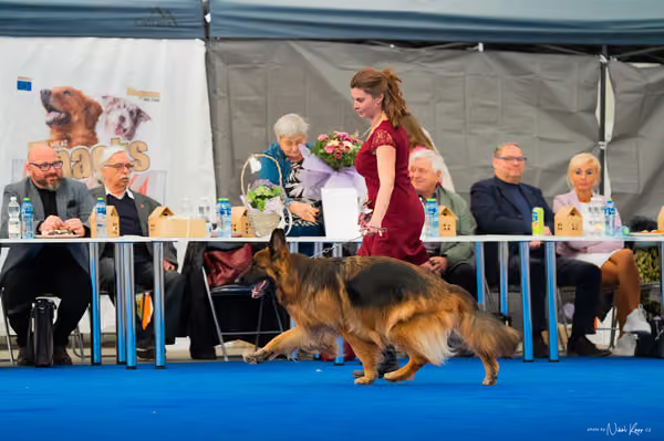 For Pets Cup – DOSPĚLÝ