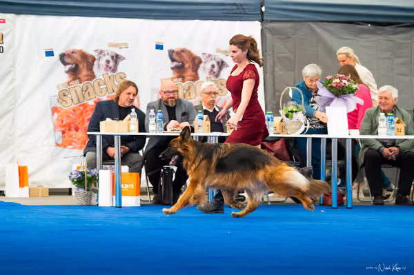 For Pets Cup – DOSPĚLÝ