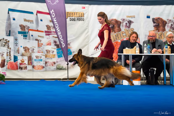 For Pets Cup – DOSPĚLÝ