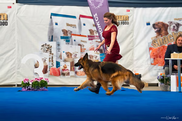 For Pets Cup – DOSPĚLÝ