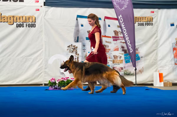 For Pets Cup – DOSPĚLÝ