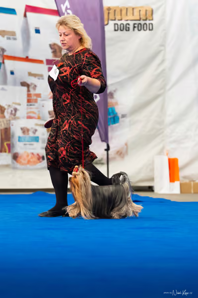 For Pets Cup – DOSPĚLÝ