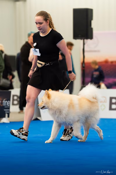For Pets Cup – DOSPĚLÝ