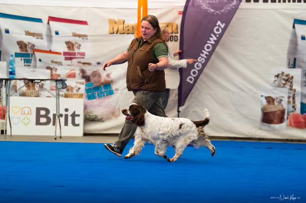 For Pets Cup – DOSPĚLÝ