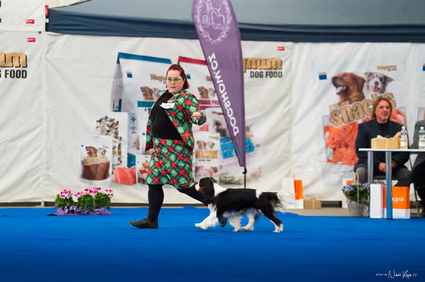For Pets Cup – DOSPĚLÝ