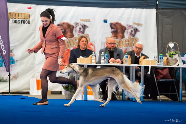For Pets Cup – DOSPĚLÝ