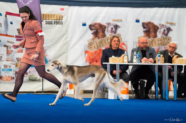 For Pets Cup – DOSPĚLÝ