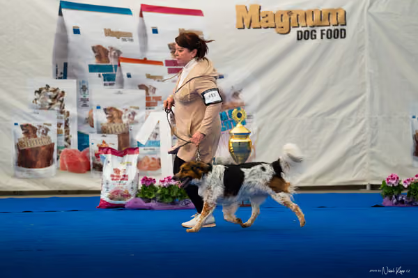 For Pets Cup – DOSPĚLÝ