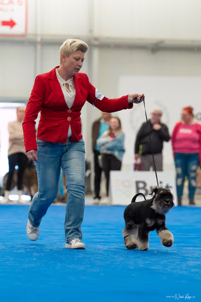 For Pets Cup – DOSPĚLÝ