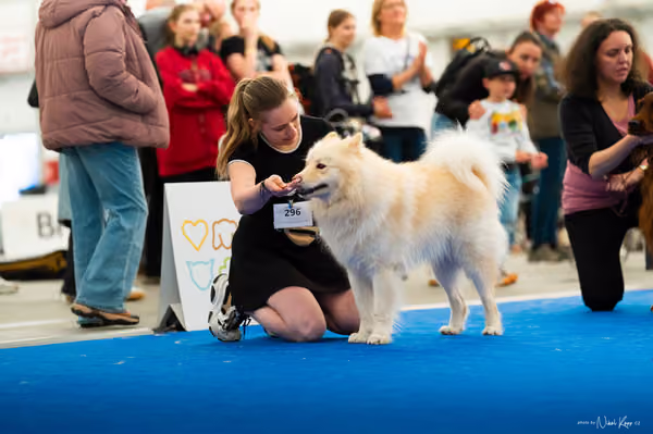 For Pets Cup – DOSPĚLÝ