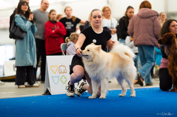 For Pets Cup – DOSPĚLÝ